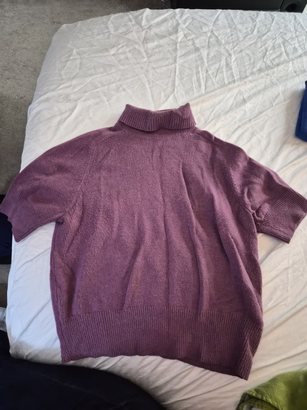 LOFT Plum Short-Sleeve Turtleneck Sweater